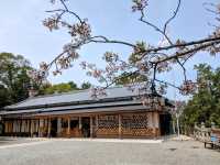 九州武雄神社：賞櫻花、看神木的人氣No.1免費景點