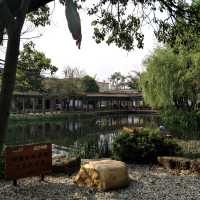 Solo Trip to Xihua National Park: A Tranquil Escape 