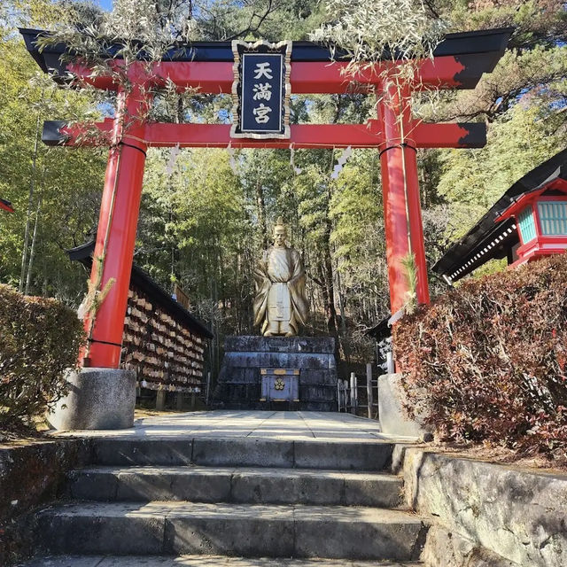 【栃木】🇯🇵 忍者仕掛迷路