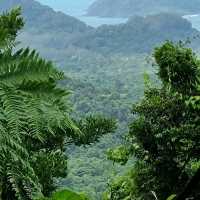 Daintree National Park, Queensland