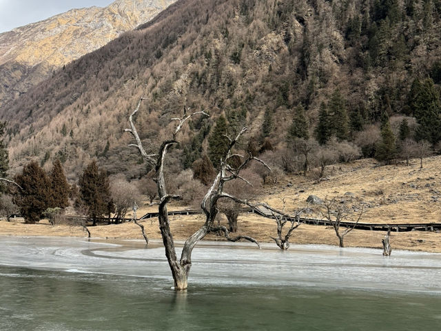 What a moment in Siguniangshan