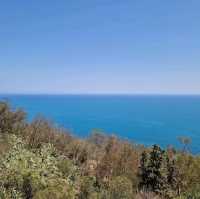 Stunning Sidi Bou Said Views 🌄