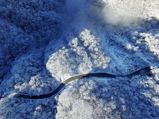 神農架霧凇枝頭醉遊人，邂逅你的冰雪奇緣