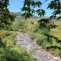 Pancar Mountain National Park