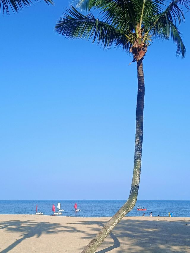 珠海情侣路｜浪漫休閒的萬里碧道。