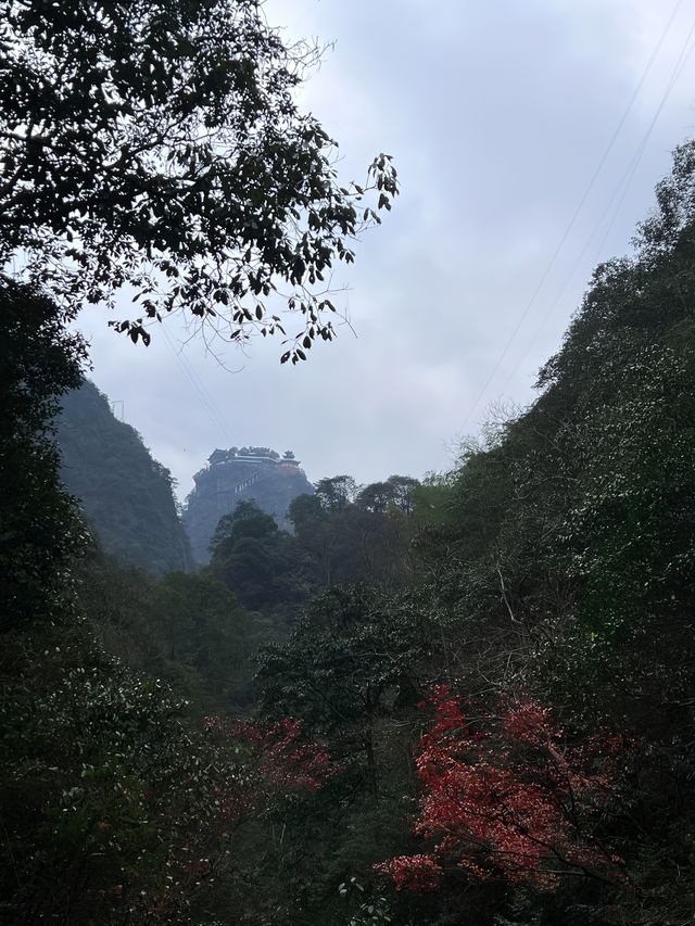 金華牛頭山國家森林公園｜金華八婺第一峰"