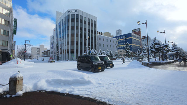 滿足了對北海道的一切想象❄️