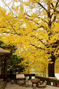 佛蔭寺｜璧山青杠