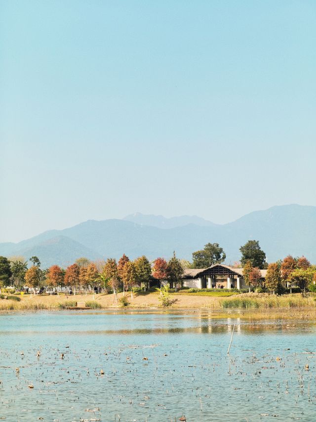 廈門冬天的戶外！黛色遠山湖景太美了