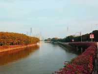 Dongshan Lake Park: A Shelter for Souls Starved for Tranquility