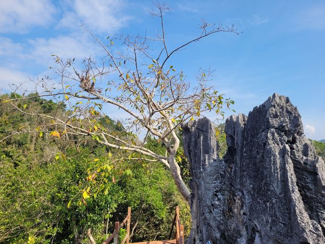 中科院熱帶植物園