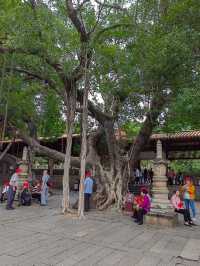 海絲泉州丨探秘千年古剎開元寺