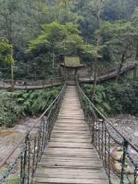 過年好去處：峨眉山2日遊 美景不容錯過