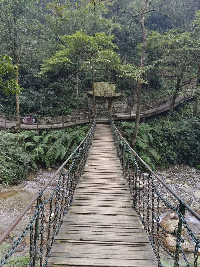 過年好去處：峨眉山2日遊 美景不容錯過