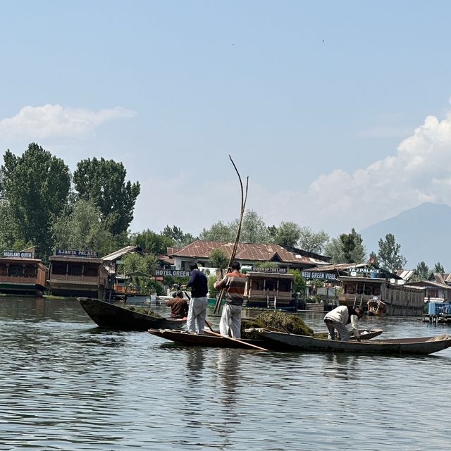 Once in a life time in Dal lake 