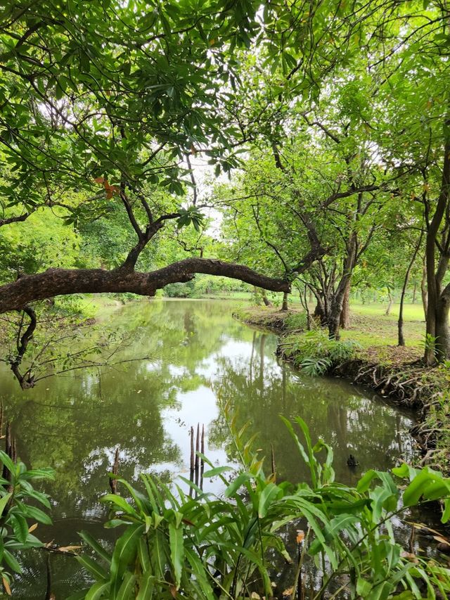 Wachirabenchathat Park (Rot Fai Park)