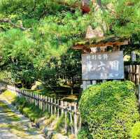 【金沢】冬だけじゃない！夏も美しい兼六園✨️