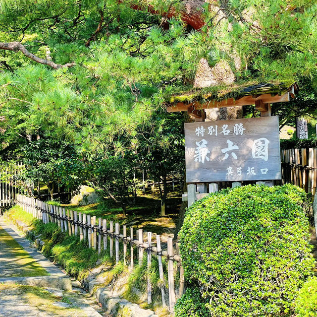 【金沢】冬だけじゃない！夏も美しい兼六園✨️