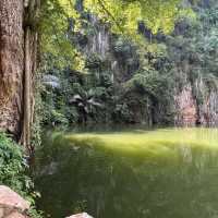 Mirror, Mirror on the Lake: Tasik Cermin Ipoh Mesmerizes!