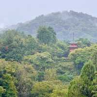 午後陣雨之京都清水寺的靜謐之旅