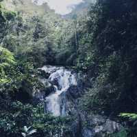 Nature's Hiking Adventure in the Cameron Highlands