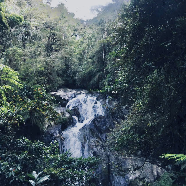 Nature's Hiking Adventure in the Cameron Highlands