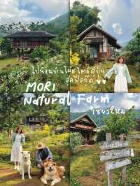  MORI Natural Farm 🎋🌿 ไปนอนบ้านไม้สไตล์ญี่ปุ่น 🐶