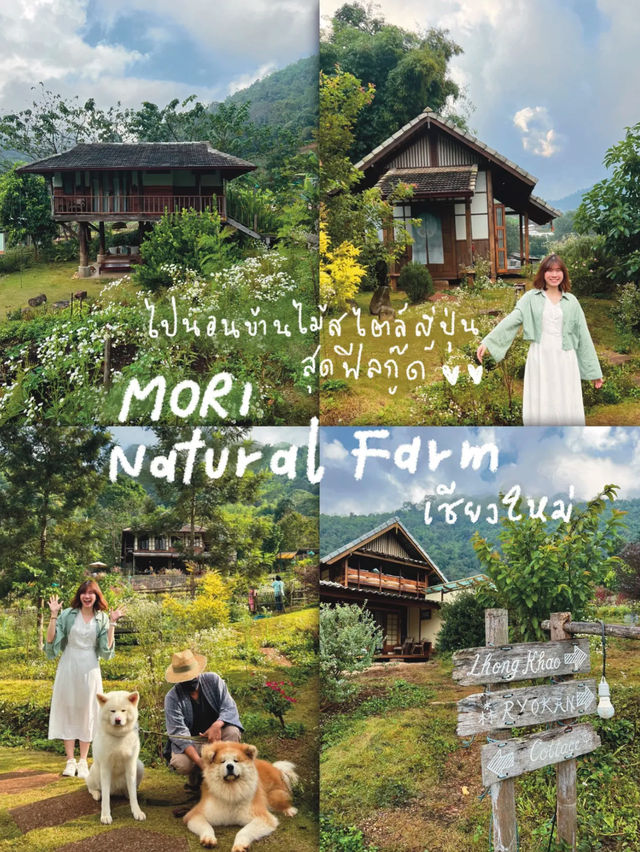  MORI Natural Farm 🎋🌿 ไปนอนบ้านไม้สไตล์ญี่ปุ่น 🐶