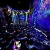 Magical experience at teamLab Forest