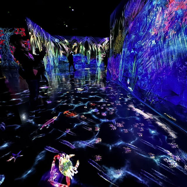 Magical experience at teamLab Forest