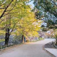 《探索福岡的綠洲——舞鶴公園之旅》