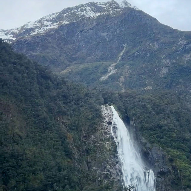 Milford Sound Unveiled: A Journey Through New Zealand’s Natural Wonderland!