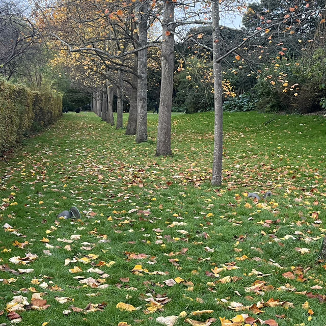 London in Fall: A Symphony of Changing Colors