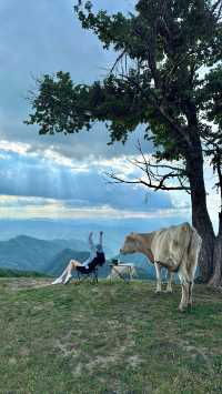 免費景區河南“阿勒泰”，保姆級攻略來啦！導航三門峽冠雲山