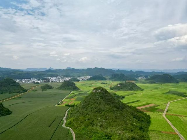 羅平金雞峰叢