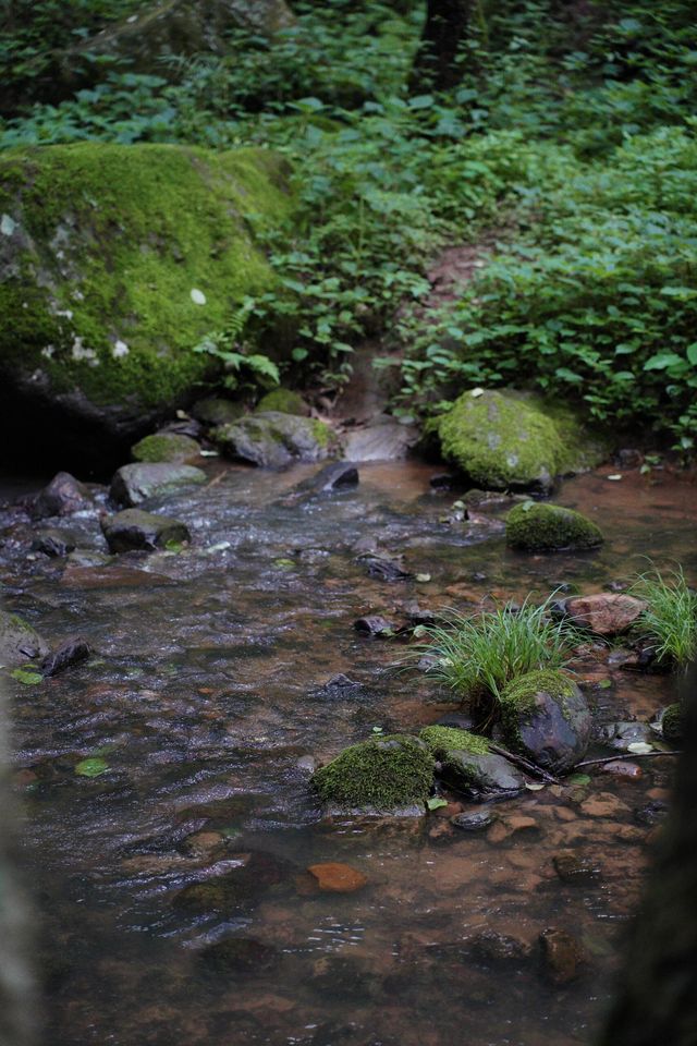 行山綠野仙蹤——禄劝桂花渡水庫。