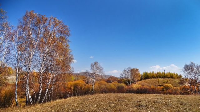 木蘭圍場的秋日。