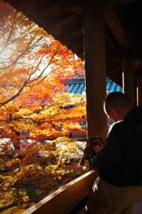 Kyoto To-ji Temple 