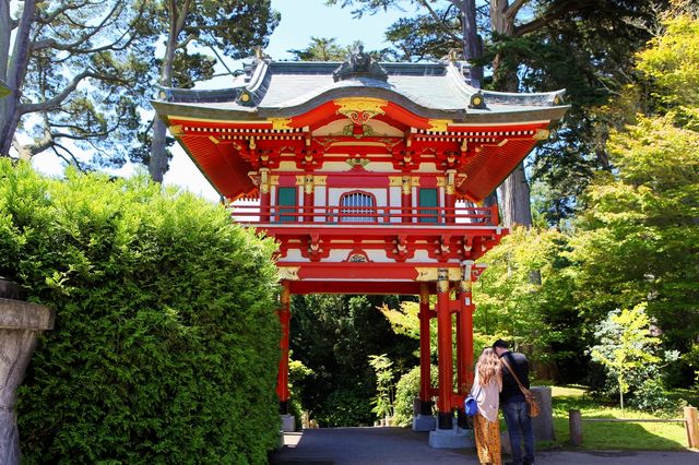 禪意流轉：舊金山日本茶園的寧靜之美