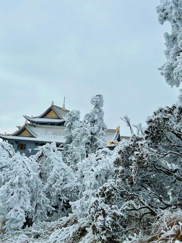 燃爆了！峨眉山，金頂閃耀的傳奇之旅！