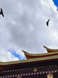 4天暢遊蘭州-甘南-郎木寺鎮 超詳細行程攻略