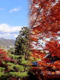 京都嵐山常寂光寺｜