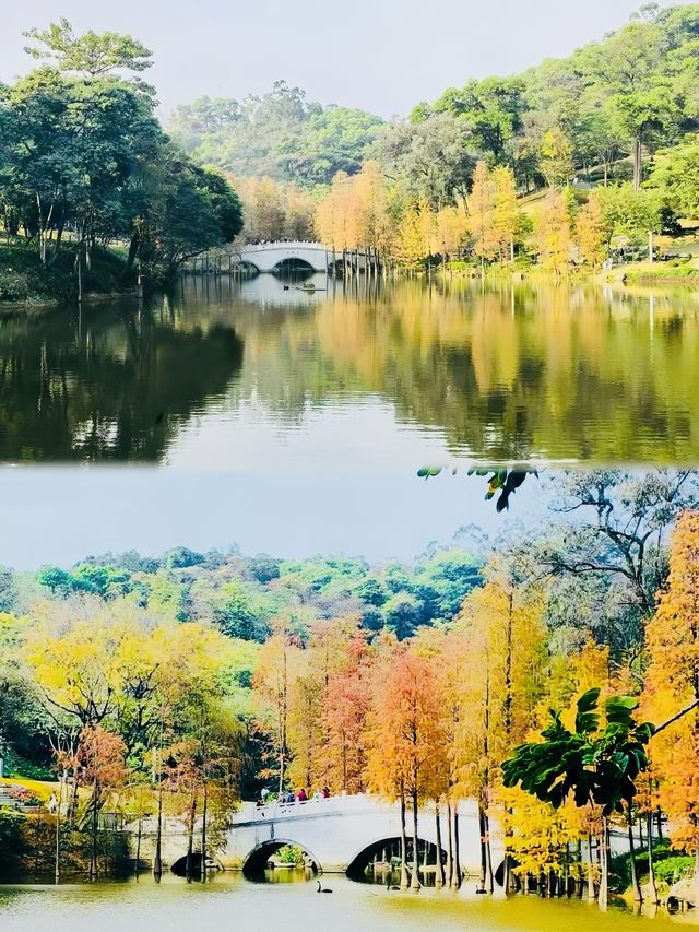 廣州雲蘿植物園