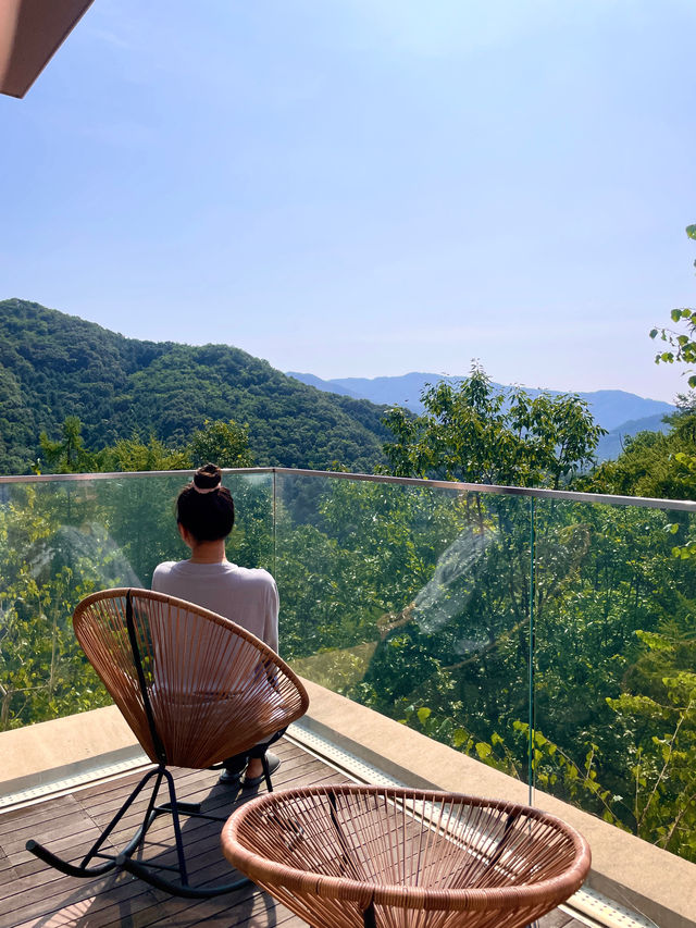 서울근교에서 만난 숲캉스 리조트 🌿💚