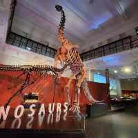 Great Display of Dinosaurs 