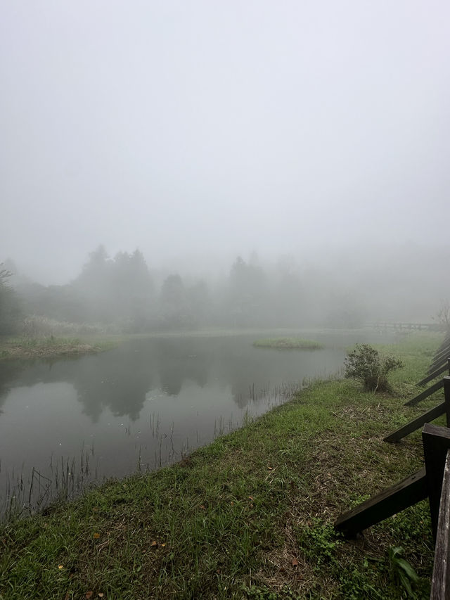 台北陽明山-擎天崗