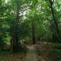 Fun Hiking for Everyone at Pantai Esen Penang