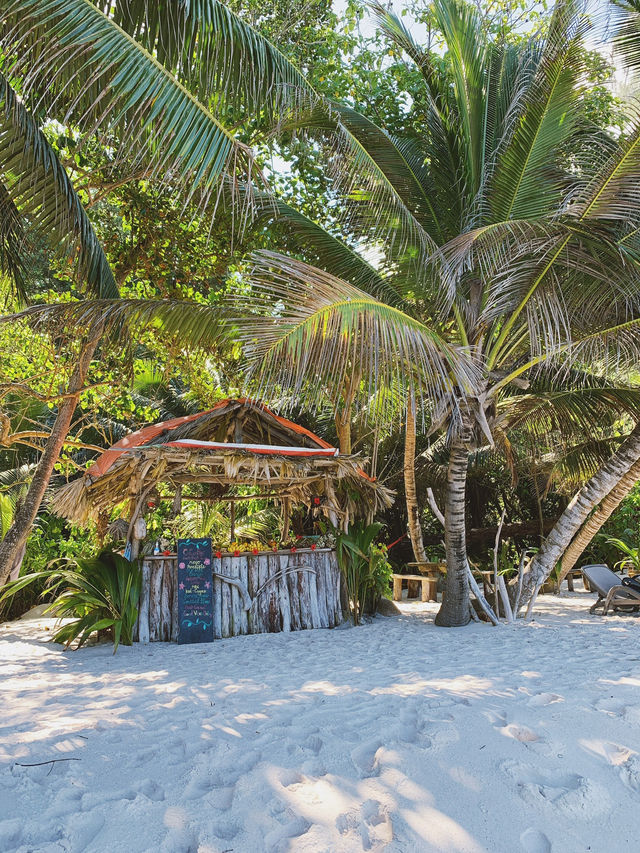 Tropical Paradise Unveiled: Breathtaking Scenery of La Digue