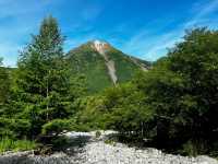 Serene Beauty at Taisho Ike Pond