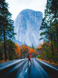 A Visit to Yosemite National Park